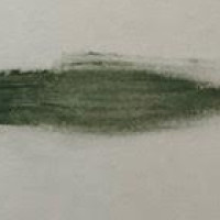 016 Grey green λαδοπαστέλ Sennelier